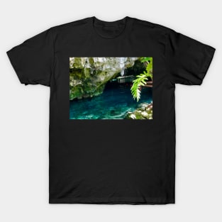 Grand Cenote near Tulum T-Shirt